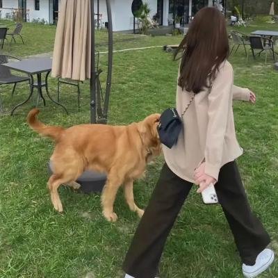 儿子,你都干了什么